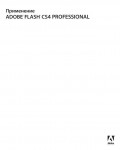 Инструкция Adobe Flash CS4