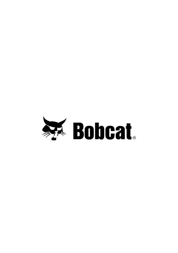 Инструкция Bobcat BCA-34HF