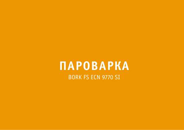 Инструкция Bork FS ECN 9770 SI