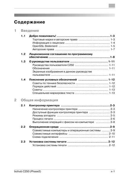 Инструкция Konica-Minolta bizhub C250 (Print)
