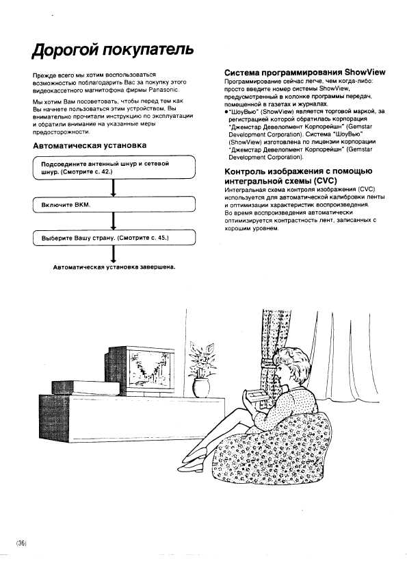 Инструкция Panasonic NV-HD600