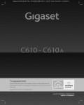 Инструкция Siemens Gigaset C610