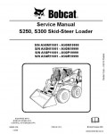 Сервисная инструкция BOBCAT S250-S300, 6986680, 3-09